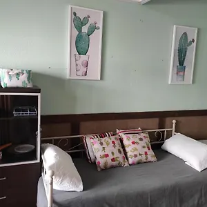  Apartamento Cactus Habit-loft A Pie De Calle Antiguo Garaje
